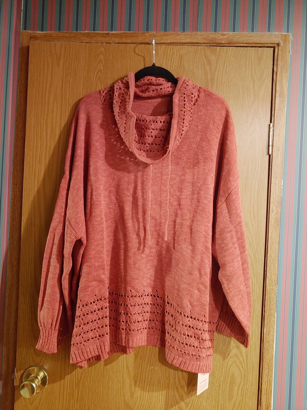 Cozy Cowl Neck - Rust Women's Cozy Piled Collar Cut-Out Sweater